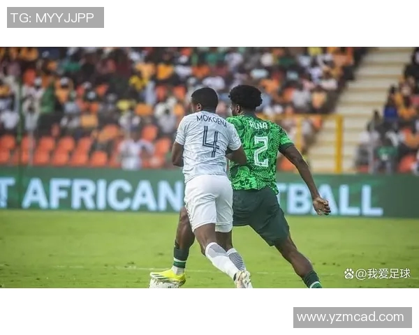 尼日利亚与南非精彩对决录像回放及赛后分析分享 尼日利亚与南非精彩对决录像回放及赛后分析分享