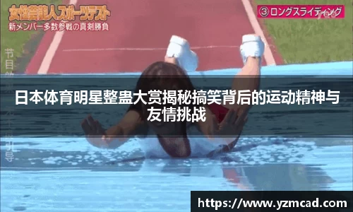 星空体育网站入口