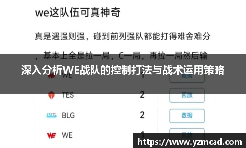 深入分析WE战队的控制打法与战术运用策略