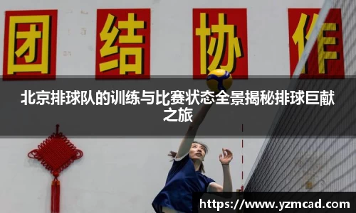 星空体育网站入口