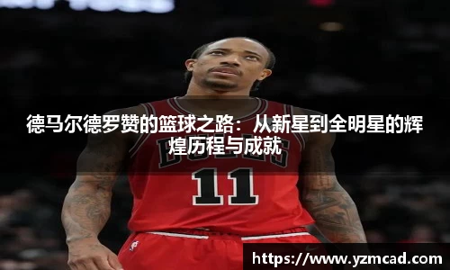 星空体育网站入口