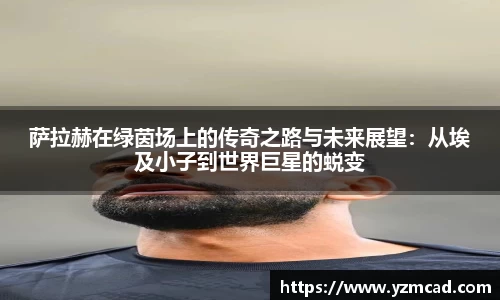 星空官网