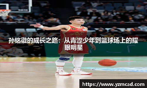星空体育网站入口