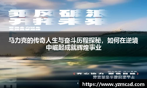 星空体育平台app