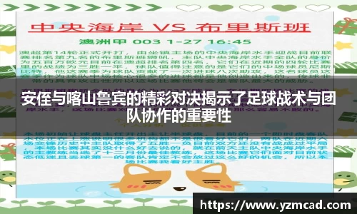 星空体育平台app