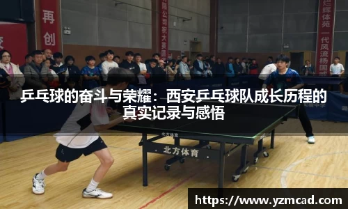 乒乓球的奋斗与荣耀：西安乒乓球队成长历程的真实记录与感悟