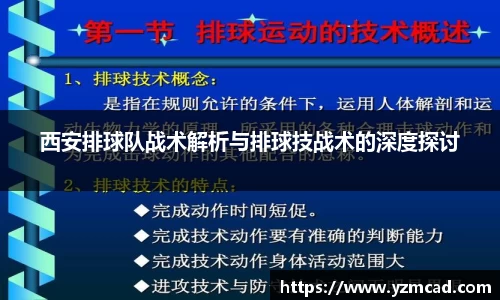 西安排球队战术解析与排球技战术的深度探讨