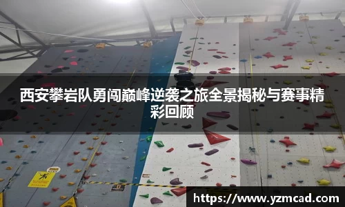 星空体育网站入口